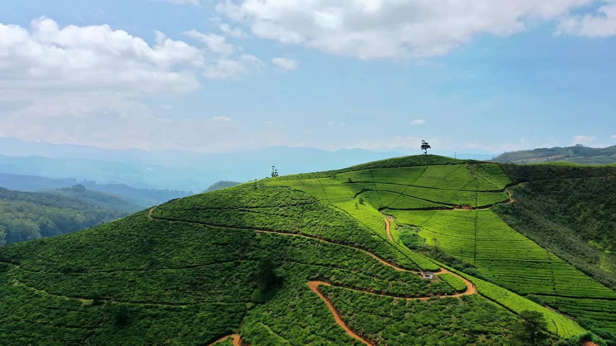 Sri Lanka landscape